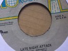 Vichous Irie - Late Night Attack 7