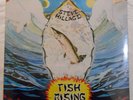 Steve Hillage- Fish Rising (1979) Virgin Int'l  VI 2031 Vinyl LP **SEALED** c/o