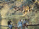 Wings – Wild Life - Capitol 52017 US 1987 Paul McCartney Beatles