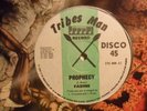 FABINE Prophecy TRIBES MAN Killer Female Roots Reggae 12” HEAR L25