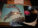 12622 Orange Juice You Cant Hide Your Love Forever Buy 5 LPs For £6 Post UK