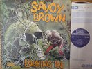 SKL5066 Savoy Brown - Looking In - 1970 LP