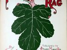 78 RPM - Fig Leaf Rag - Scott Joplin - Stark Music Co. 1908 - Sheet Music E+