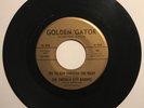 EMERALD CITY BANDITS Gypsy’s Warning RARE GARAGE SURF Jan & Dean HEAR