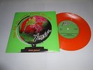 X RAY SPEX - DAY THE WORLD TURNED DAYGLO 7