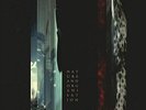 Nature And Organisation-Beauty Reaps The Blood Of Solitud (UK IMPORT)  VINYL NEW