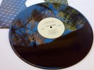 LYNYRD SKYNYRD   SIMPLE MAN / TRUCK DRIVIN MAN   M- WHITE LABEL PROMO 12