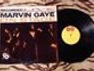 MARVIN GAYE LIVE ON STAGE  TAMLA TM-242 YELLOW RECORD GLOBE LABEL  EX+
