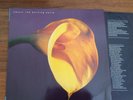 Swans - The Burning World