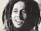 Bob Marley & The Wailers ?– Kaya Vinyl LP NEW