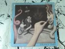 THE CHAMELEONS-