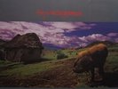 Fury In The Slaughterhouse - Jau  (Vinyl, LP, Album, Gatefold)