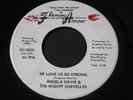 Angela Davis   My Love is So Strong   Flaming Arrow   northern soul funk 45 HEAR