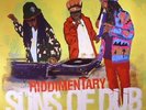 SUNS OF DUB - Riddimentary: Suns Of Dub Selects Greensleeves - Vinyl (LP)