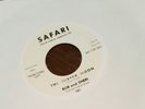 Bob and Sherie Surfer Moon Humpty Dumpty 45 Randy Brian Wilson Blue Vinyl