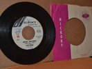 NITA ROSSI: UNTRUE, UNFAITHFUL; 1965 HICKORY 1336 NORTHERN SOUL W.L. PROMO 45