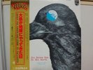 STRAWBERRY PATH / RARE JAPAN ORIG. LP w/OBI & INSERT PSYCH PROG BLUES POKORA NM