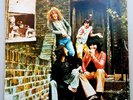 The Who 