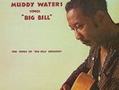 MUDDY WATERS - SINGS BIG BILL BROONZY NEW VINYL