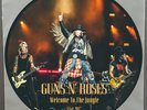 Guns N' Roses - Welcome To The Jungle Live 2017 PHOTO VINYL SINGLE Picture Disc