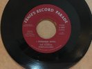 The Florida Spiritualaires - I Remember When * Ernie's Gospel Soul 45 Rare