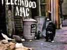 Fleetwood Mac - Peter Green's Fleetwoon Mac 180g vinyl LP NEW/SEALED