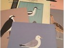 Bert Jansch LP Avocet / + Set Of 6 Prints / NEW