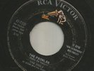 HALLOWEEN TITTYSHAKER R&B ROCKER-  IDOLS-  the PROWLER  -HEAR--1958 RCA POCORN