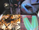 SURVIVOR Premonition WHEN SECONDS Vital Signs EYE OF THE TIGER VINYL 4 LP + 12