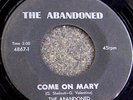 1967 IL Garage Punk 45 - THE ABANDONED 
