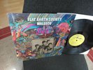 FLAT EARTH SOCIETY- WALLECO - orig 1968 Teen Garage Fuzz Psych LP