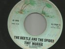 HALLOWEEN SCREAM ROCKER - TINY MORRIE-  BEETLE & the SPIDER  -HEAR -HURRICANE