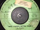 SOUL R&B 45 THE CHESTNUTS WHO KNOWS BETTER THAN I STANDORD VG RARE