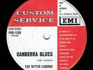 The Bitter Lemons-  Aussie Garage 45 