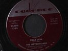 METRONOMES: Dear Don / How Much I Love You 45 (sm wol, very close to M-)
