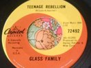 Supreme Garage Psych Fuzz Stomper 45 Glass Family Teenage Rebellion EX HEAR