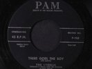 LYDELLS: There Goes The Boy / Talking To Myself 45 ( )