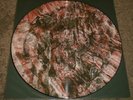 The Wall Of Sacrifice Death In June RARE Limited 2000 UK Import Picture Disc NM