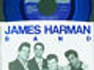 JAMES HARMAN BAND All Night Boogie 7
