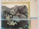 ROCK WORKSHOP The Very Last Time PROG LP UK ORIG 1-st PRESS RARE NEAR MINT G/F