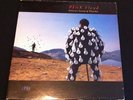 PINK FLOYD: DELICATE SOUND OF THUNDER, ORIG UK FIRST PRESS DOUBLE VINYL