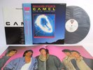 CAMEL pressure points live LP Vinyl JAPAN POLYDOR LONDON L25P 1202 W/ OBI POSTER