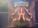 Super Furry Animals - Phantom Power ( double vinyl 2003)