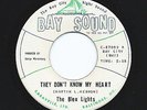 THE BLEU LIGHTS They Don't Know My Heart BAY SOUND Rare NORTHERN SOUL 7