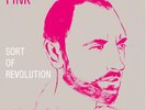 Fink - Sort Of Revolution Vinyl LP Ninja Tune NEU