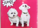 SLAVES LP Are You Satisfied 2015 Vinyl Debut album SEALED