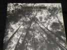 JOHNNY FLYNN : BEEN LISTENING DOUBLE  LP
