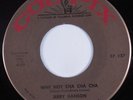 Latin Popcorn Tittyshaker 45 JERRY HANSON Why Not Cha Cha Cha COLPIX HEAR VG++