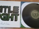 Title Fight Floral Green vinyl tigers jaw joyce manor modern baseball