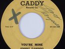 Doo Wop Teen 45 JOHNNY FLAMINGO You're Mine CADDY HEAR